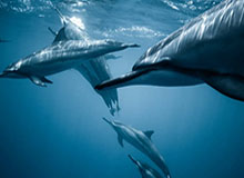 足球新闻-许尔策勒：阿森纳不是在踢足球，他们在制造自己的足球规则